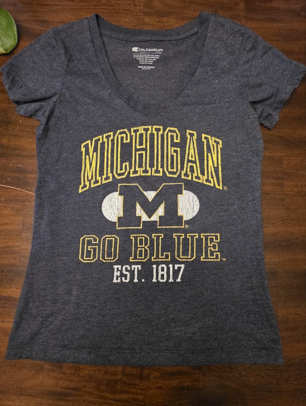 Colosseum Michigan Wolverines "Go Blue" Graphic T-Shirt - Gray Heather, Size S